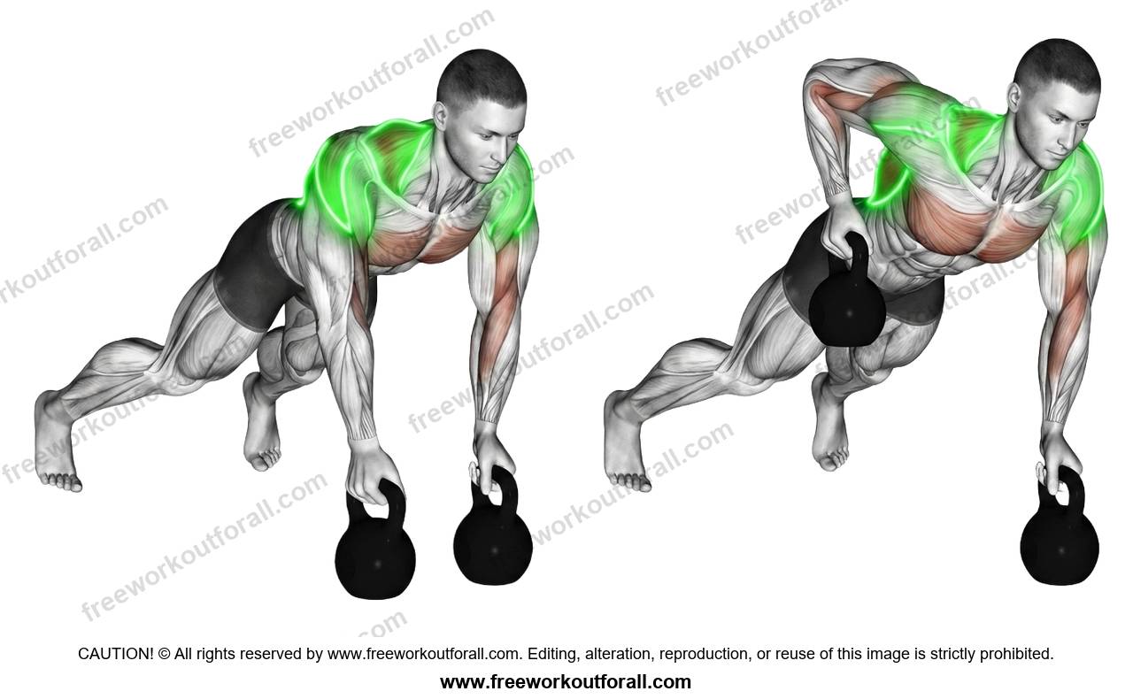 أداء تمرين التجديف بالكاتل بيل (Kettlebell Renegade Rows) لاستهداف الظهر العلوي