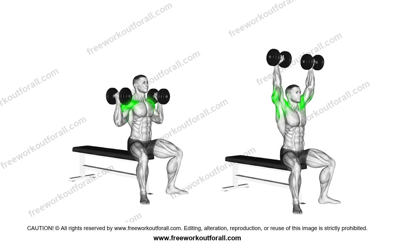 أداء تمرين أرنولد برس (Arnold Presses) لاستهداف الكتف الأمامي