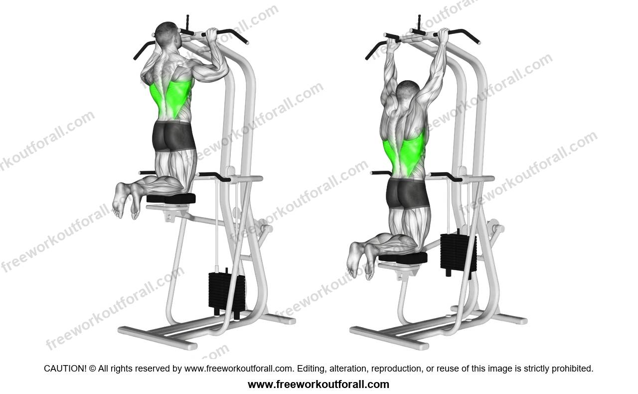 أداء تمرين العقلة بالجهاز (Assisted Pull-Up) لاستهداف اللاتس