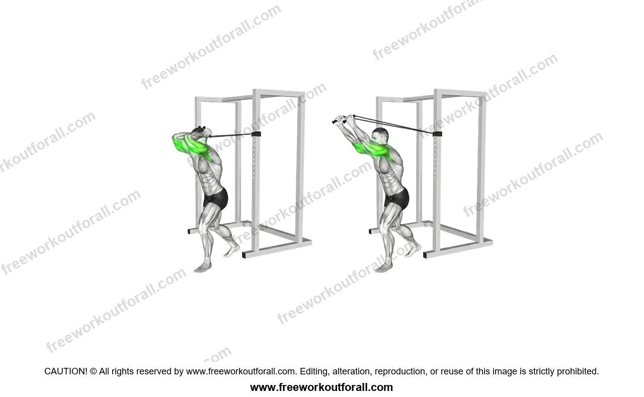 أداء تمرين ترايسبس اكستنشن بالمطاط (Band Tricep Extensions)