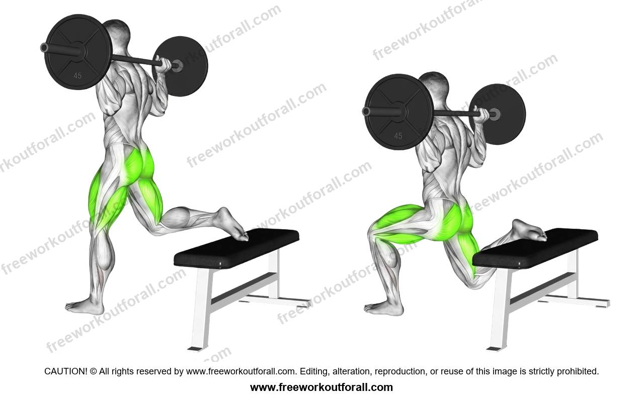أداء تمرين البلغاريان سكوات (Barbell Bulgarian Split Squat) للفخذ الأمامي