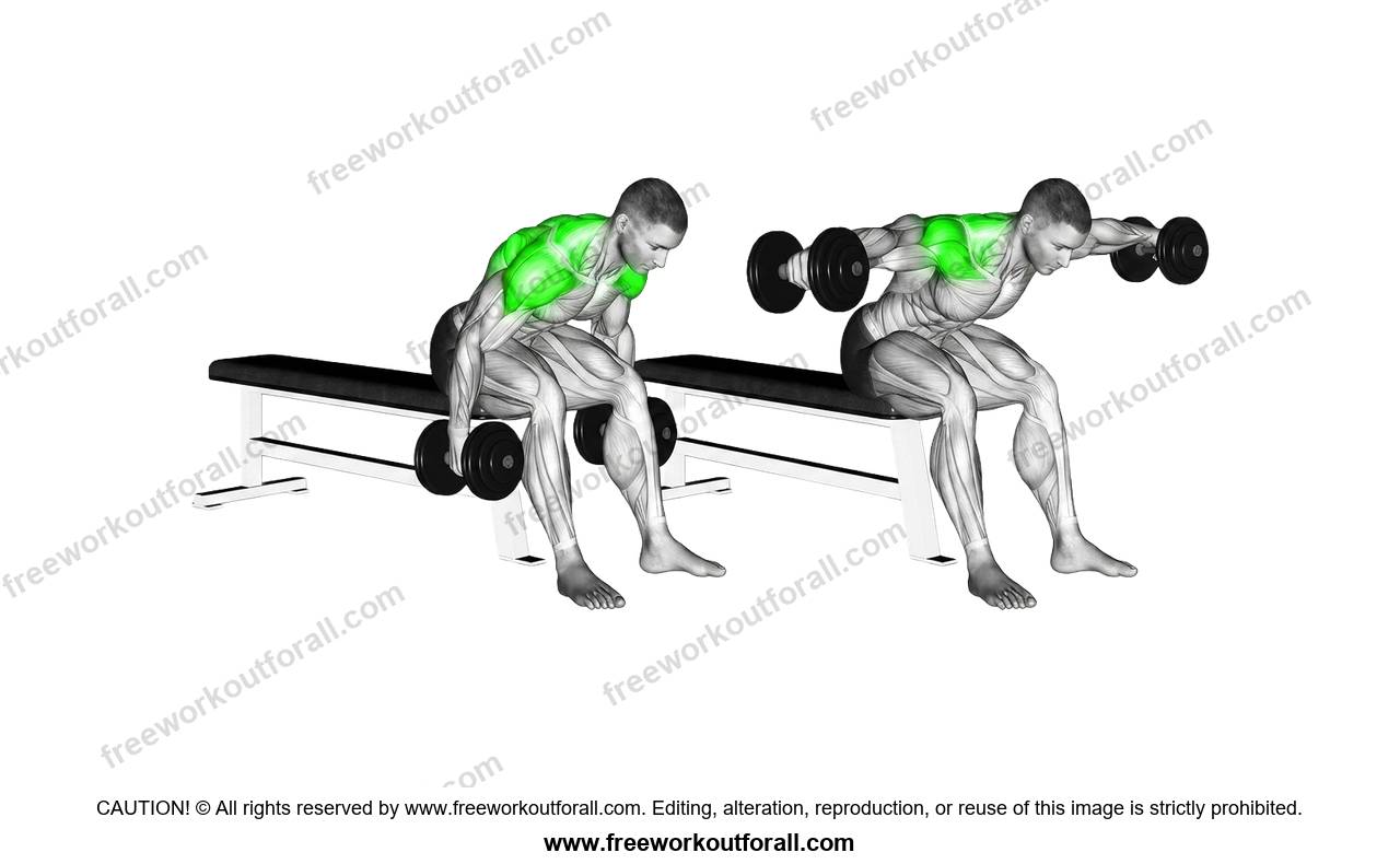 أداء تمرين الرفرفة الخلفية (Bent Over Reverse Flys) للكتف الخلفي