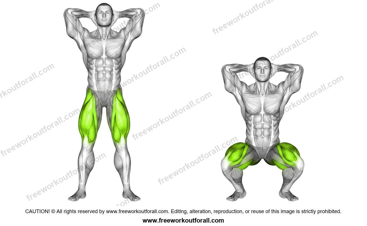 أداء تمرين السكوات بوزن الجسم (Body Weight Squats) للفخذ الأمامي