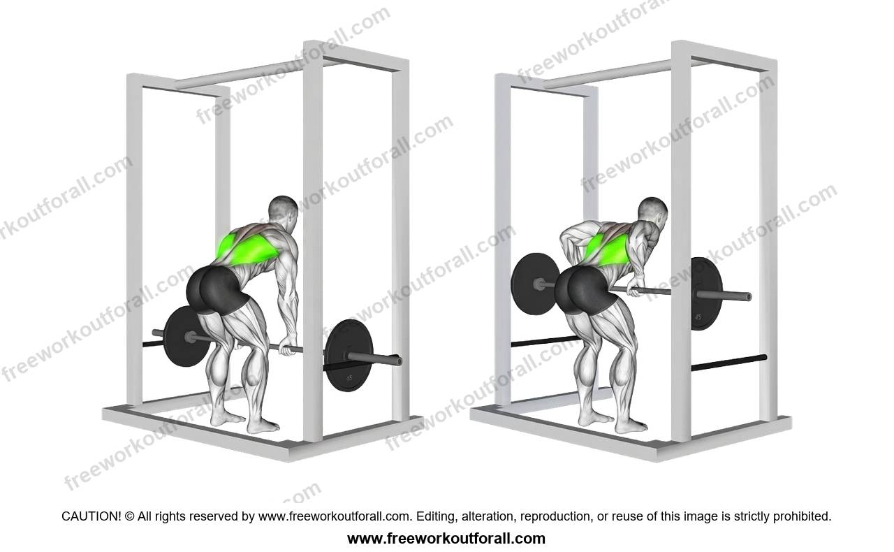 أداء تمرين الديدستوب (Deadstop Barbell Row) لاستهداف العضلة الظهرية العريضة