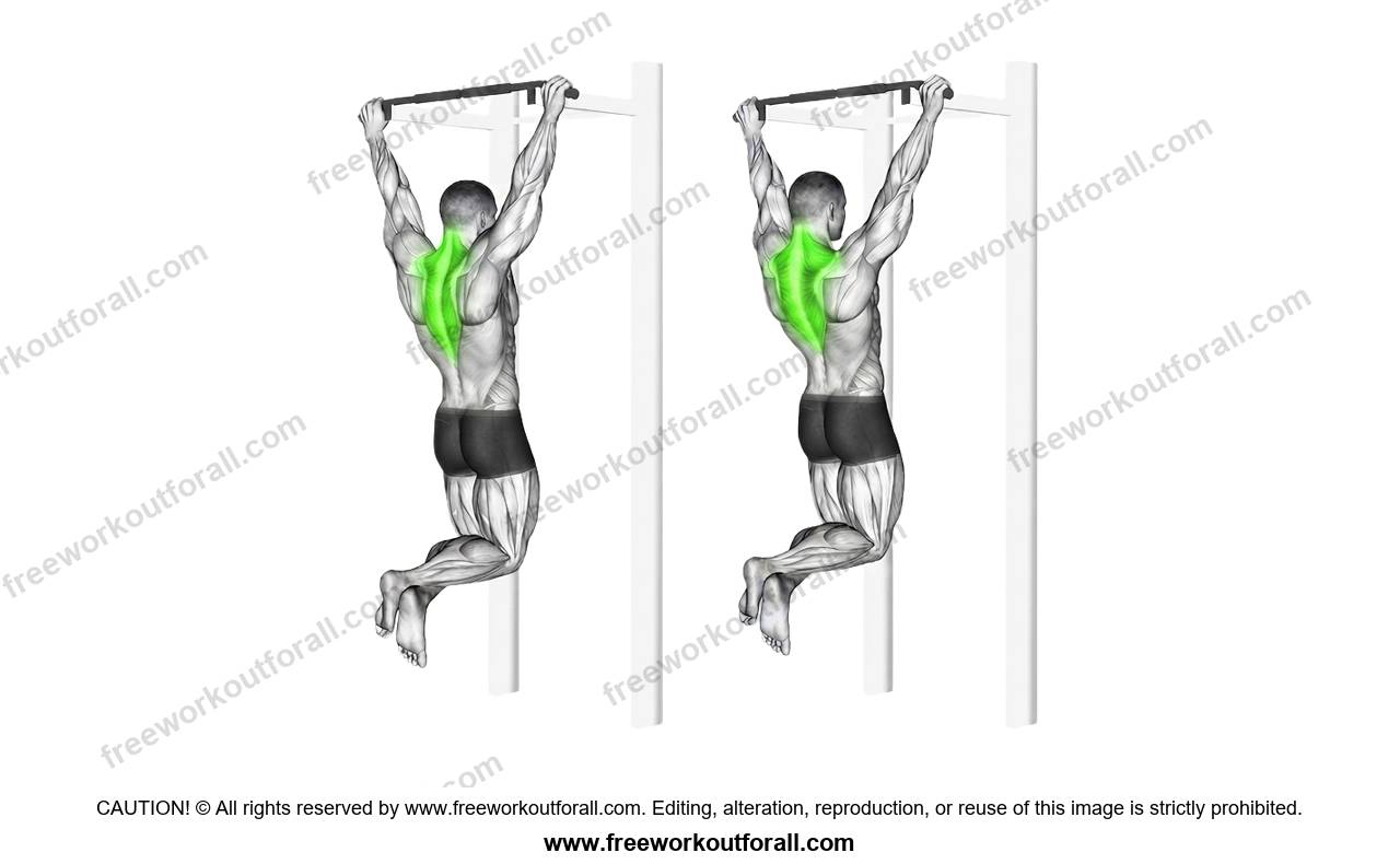 أداء تمرين بول أب للترابيس (Scapular Pull-Ups)
