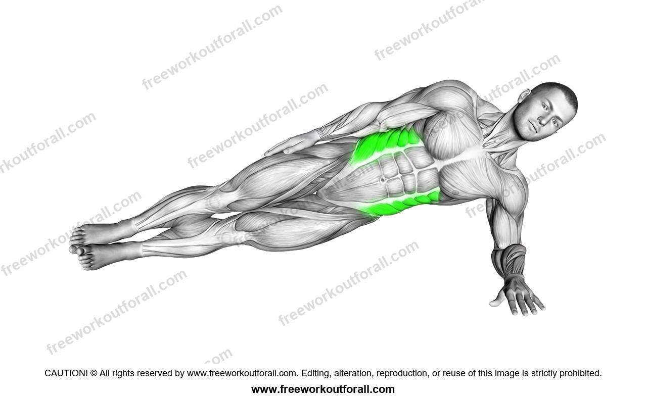 أداء تمرين البلانك الجانبي (Side Plank) للعضلات المائلة