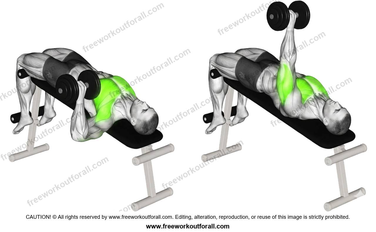 أداء تمرين بنش مقولب يد واحدة (Single-Arm Decline Dumbbell Press) لاستهداف عضلة الصدر السفلية