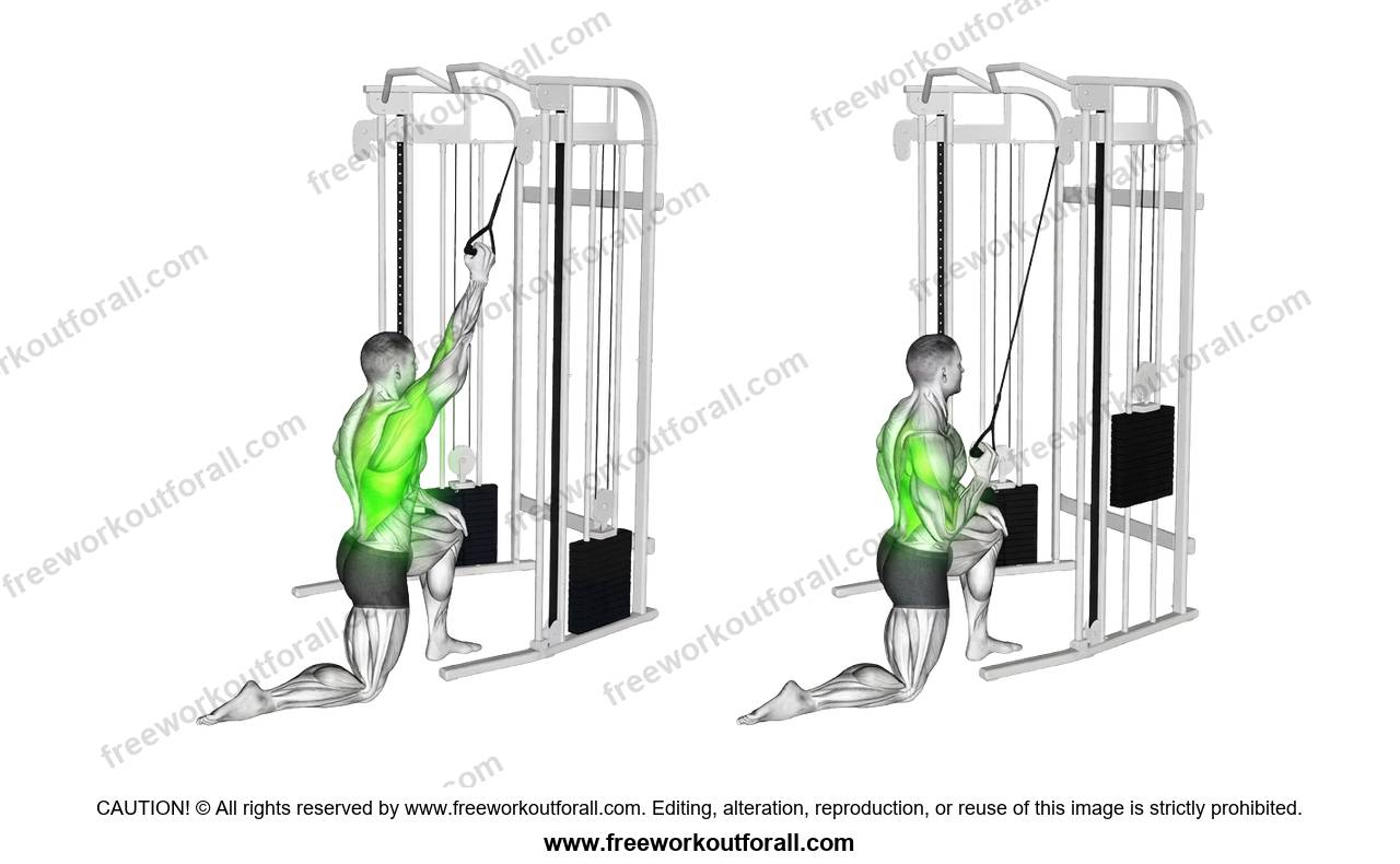 أداء تمرين سحب الكابل أحادي (Single-Arm Kneeling Cable Pulldown) لاستهداف اللاتس