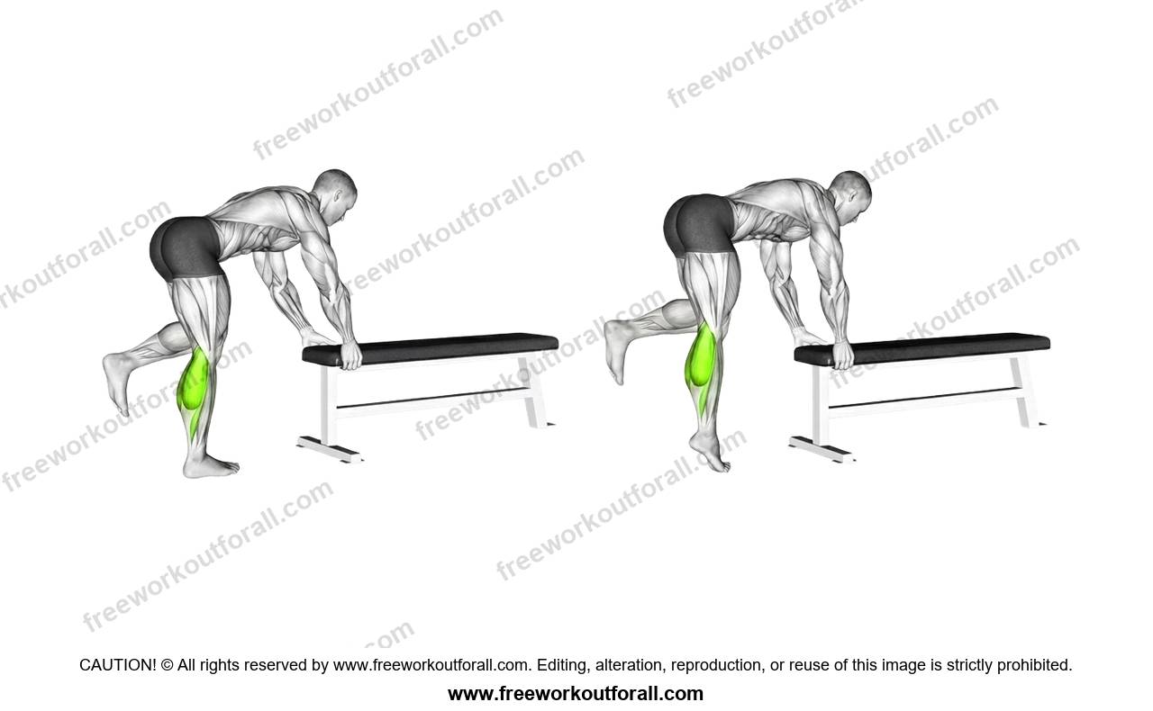 أداء تمرين السمانة بساق واحدة (Single Leg Calf Raises)