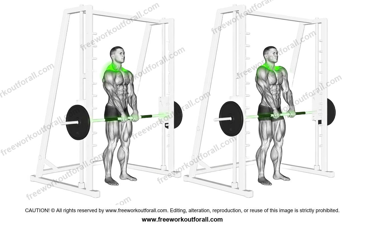 أداء تمرين الترابيس على جهاز سميث (Smith Machine Shrugs)