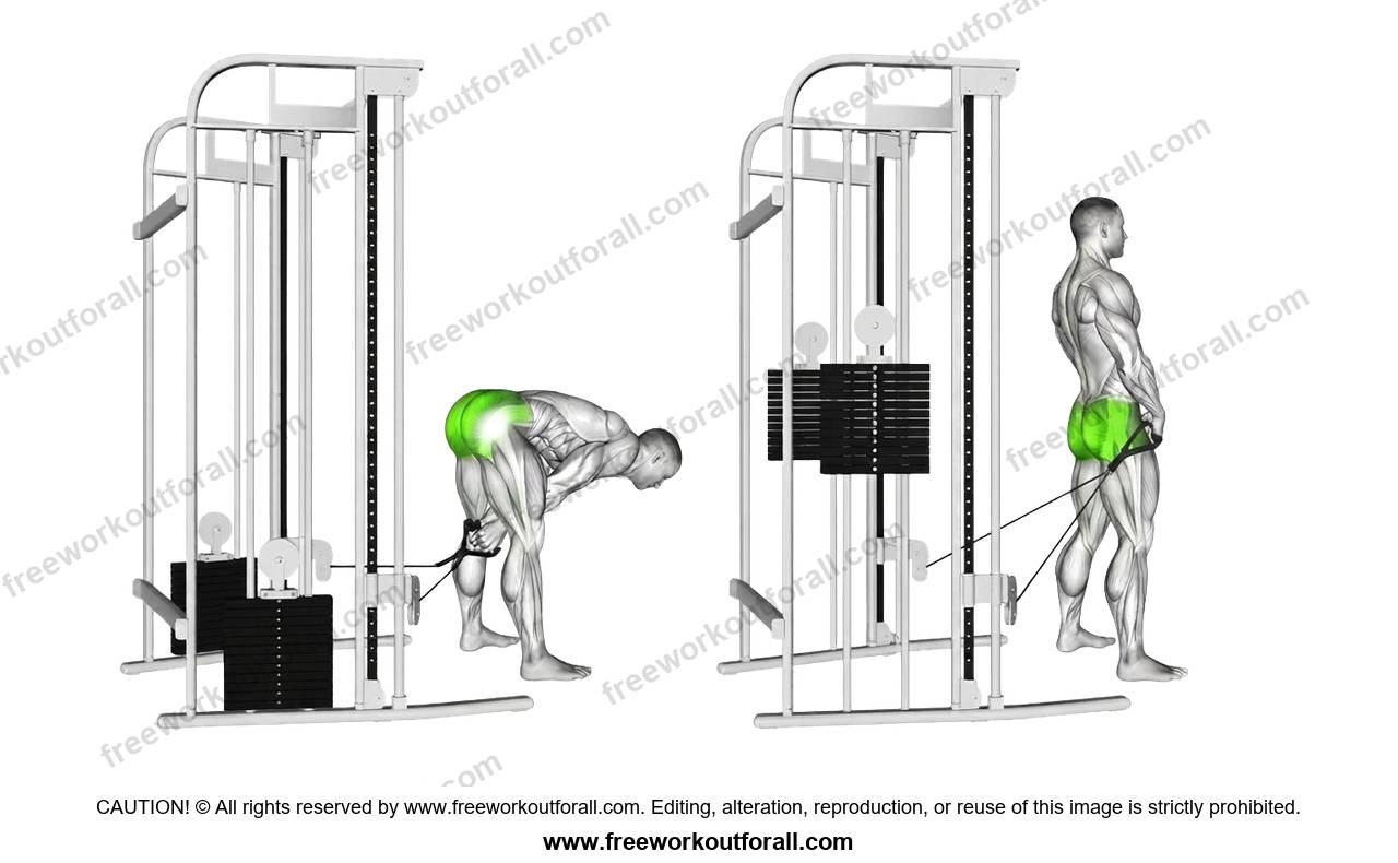 أداء تمرين دفع الورك بالكابل (Standing Cable Hip Thrust) لاستهداف المؤخرة