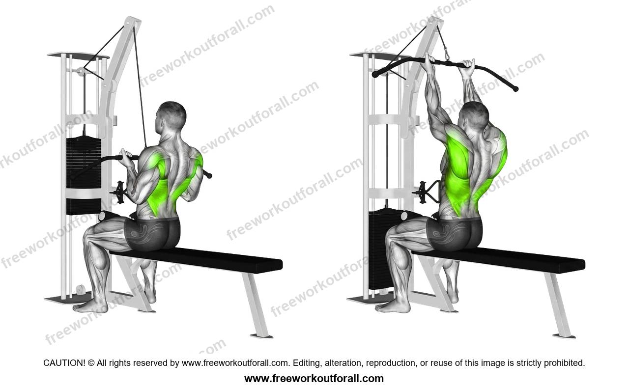 أداء تمرين السحب الأمامي العكسي (Underhand Lat Pulldown) لاستهداف اللاتس
