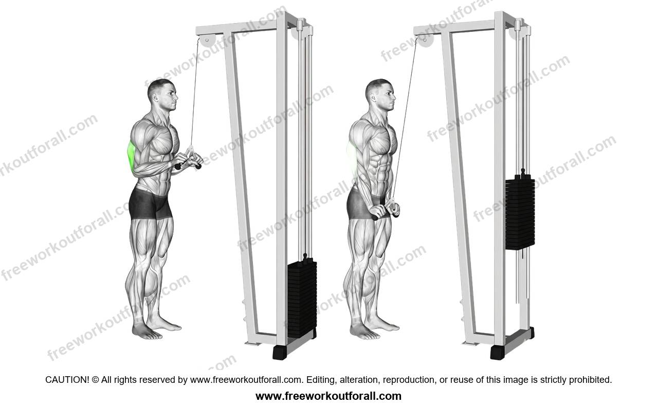 أداء تمرين بوش بالبار V (V-Bar Pushdowns) لاستهداف الترايسبس