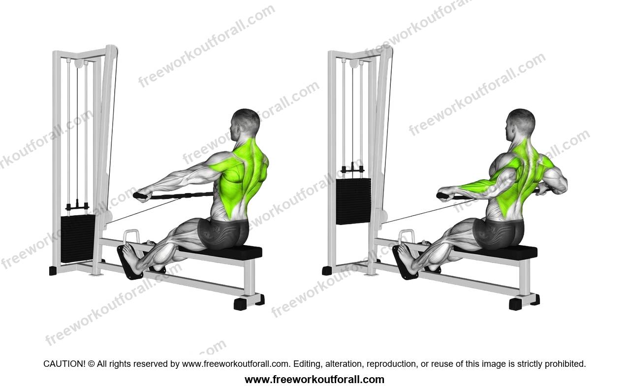 أداء تمرين التجديف بالكابل قبضة واسعة (Wide-Grip Cable Row) لاستهداف الظهر العلوي ورابيس