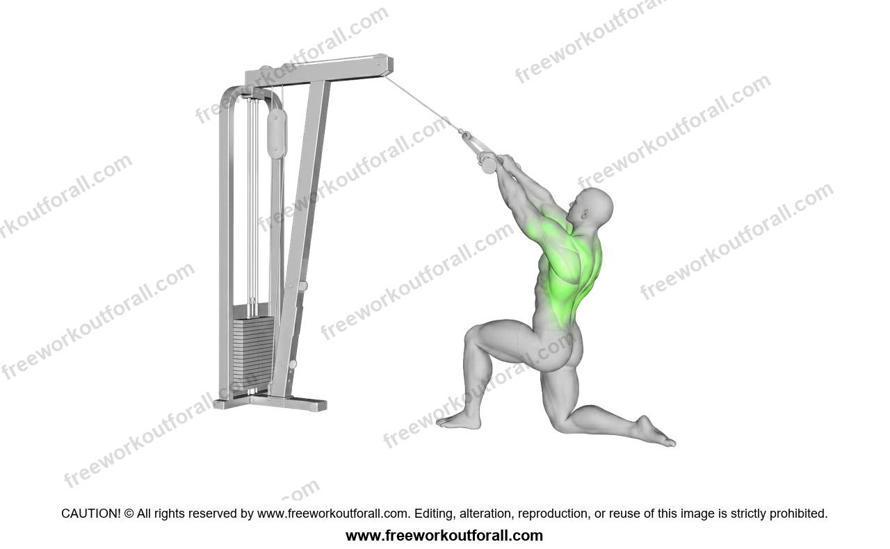أداء تمرين Kneeling High Pulley Row لاستهداف اللاتس